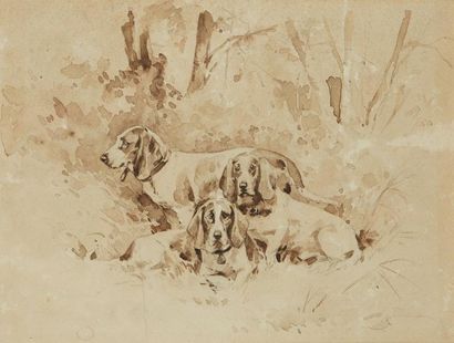 École Française du XIXe siècle 
Trois chiens de meute au repos.
Lavis
Dim. (à vue):...