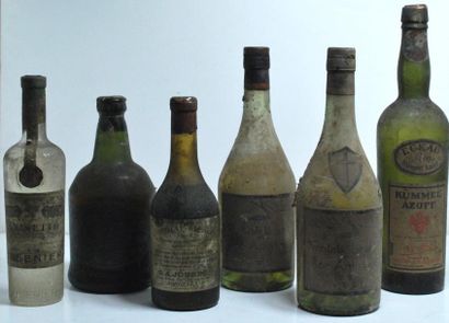 null Ensemble de dix sept bouteilles d'alcool comprenant : Xeres de Jean Danflou,...