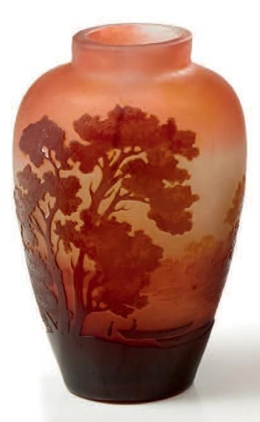 Établissements GALLÉ (1904-1936) 
Vase soliflore en verre multicouche à décor de...