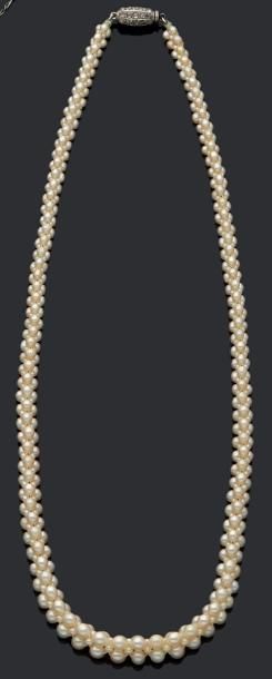 null Collier formé d'une torsade de perles fines de culture et de semence de perles,...