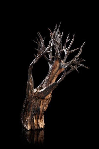 null CHINE Branche d'arbre (bois précieux) figurant une sculpture naturaliste. 
Marque...