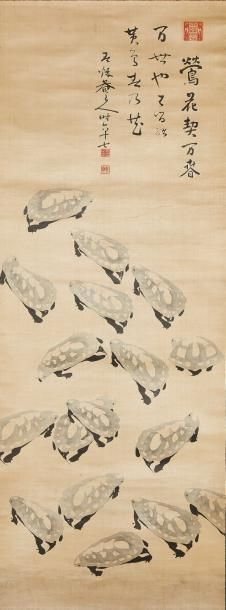 JAPON MIMORI MIKIO (1830-1910) 
Tortues Kame
Rouleau vertical (Kakemono), encre et...