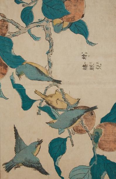 JAPON Totoya HOKKEI (1780-1850), probablement, Estampe figurant des oiseaux perchés...