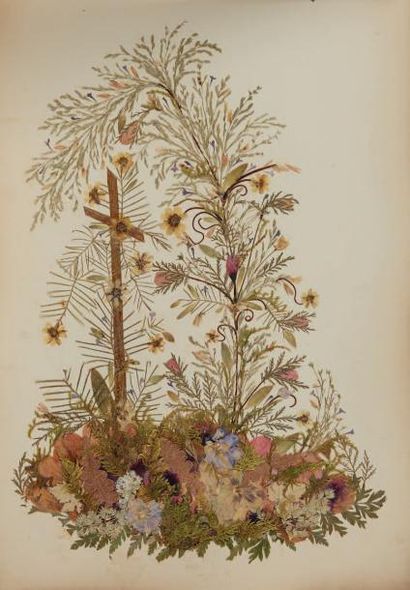 null Herbier
Fleurs de Terre-Sainte. Voyage en Orient.
Avril 1891, Jérusalem, Marroum...