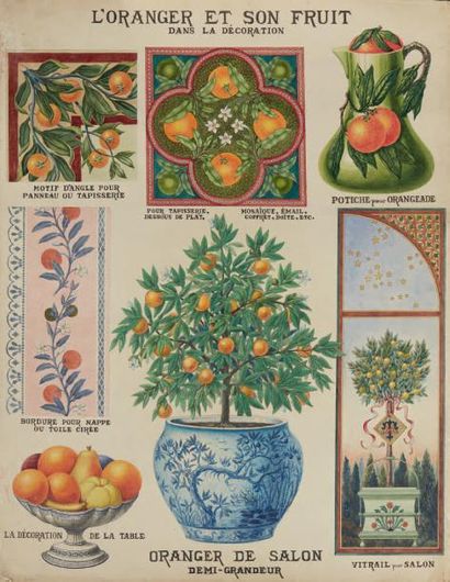 null Deux affiches
L'oranger et son fruit dans la décoration et Les papillons.
Aquarelles.
Dim.:...