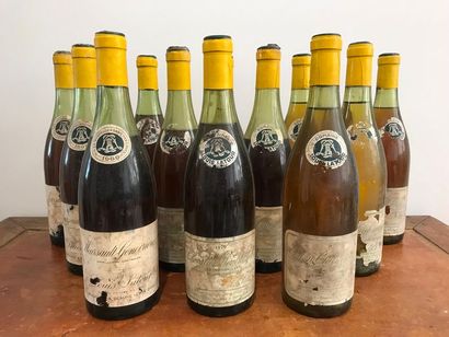 null Ensemble de 12 bouteilles comprenant : 



- 4 Chevalier Montrachet, Les Demoiselles,...