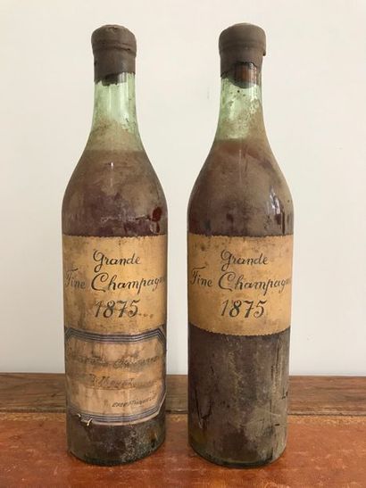 null Deux bouteilles de Cognac Grande Fine Champagne 1875.