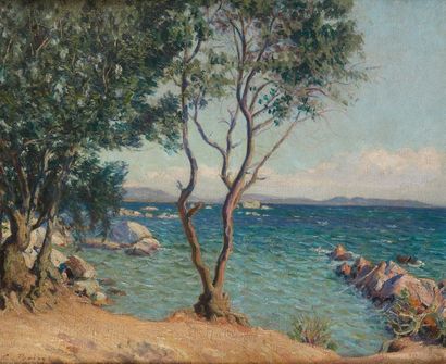 BOIRY Camille (1871 - 1954) Bord de mer aux rochers dans le Midi
Huile sur toile...