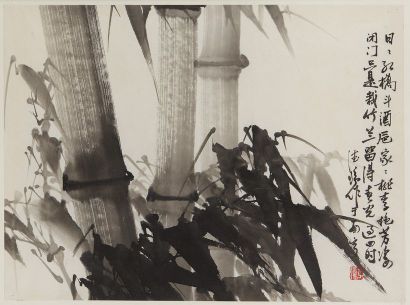 CHINE Peinture à l'encre sur papier figurant des bambous.
Calligraphie et sceau en...