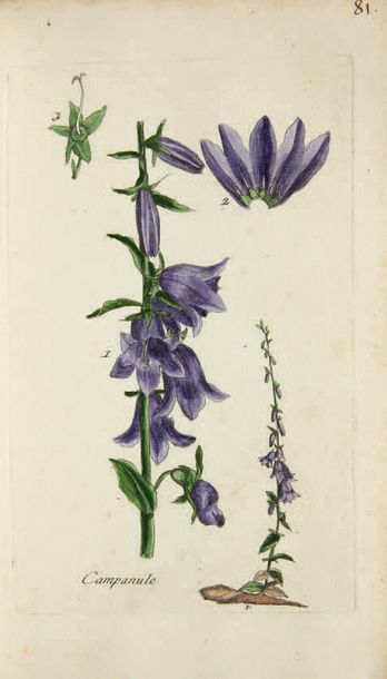 BULLIARD. Flora parisiensis, ou descriptions et figures des plantes qui croissent...
