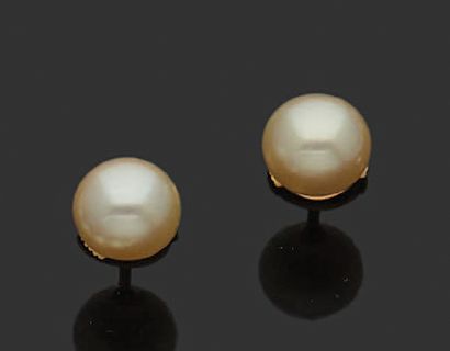 null Paire de boutons d'oreilles en or jaune 18K (750) ornés chacun d'une perle de...