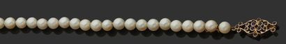 null Collier de perles de culture choker, le fermoir or jaune 18K (750) ajouré serti...