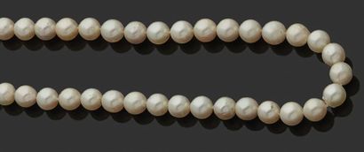 null Collier choker de perles de culture, le fermoir navette en or gris 18K (750)...