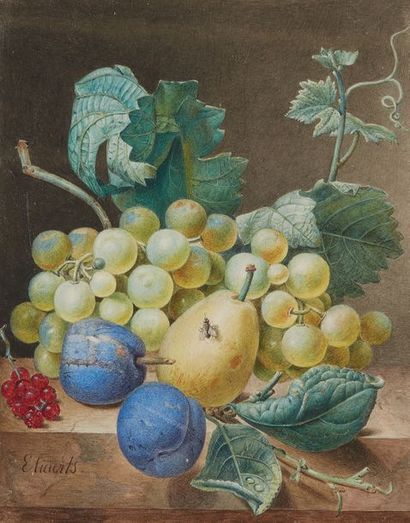 Jean François ELIAERTS (Deume 1761-Anvers 1848) 
Raisins, groseilles, poire et prunes...