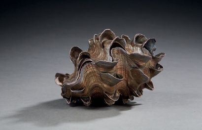 null Shell forming a silver box or pocket holder.
Italian work of the 20th century.
Weight:...