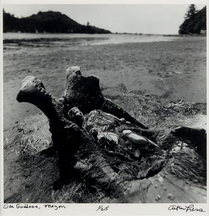 Arthur TRESS (né en 1940) Fantasmagorie - Sea Goddess, Oregon
Épreuve gélatino-argentique...