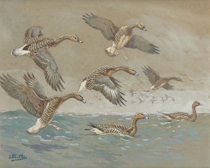 Joseph OBERTHUR (1872-1956) Les pigeons ramiers et Les oies des moissons
Ensemble...