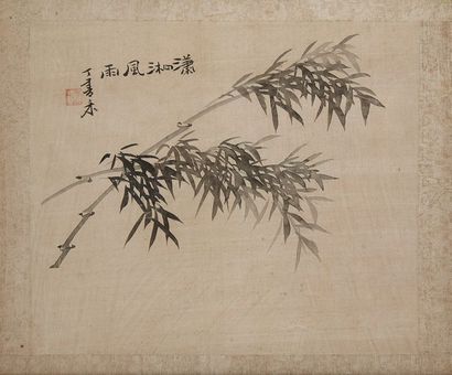 CHINE Paire de peintures sur soie représentant des branches de bambous avec calligraphies.
XXe...