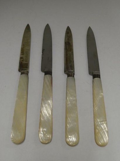 null Ménagère de couteaux composée de dix-sept couteaux couteaux à fruits, manches...
