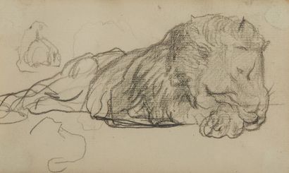 Jacques LEHMANN dit NAM (1881-1974), attribué à 
Lion endormi
Crayon sur papier
Dim....