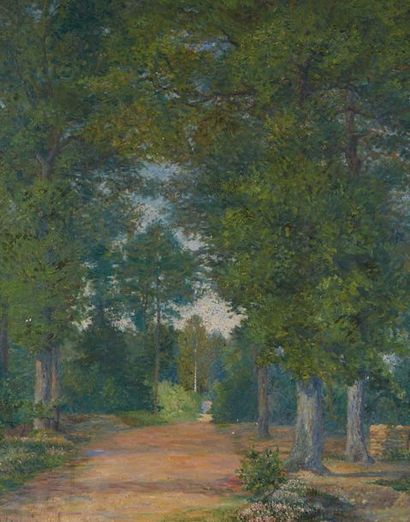 Albert DUBOIS PILLET (1846-1890) 
Paysage de forêt à Vigouroux
Huile sur toile Signée...