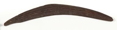 null Boomerang en bois sculpté.
Australie, fin XIXè siècle.
Long.: 67 cm.