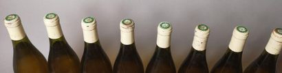 null 8 bouteilles CORTON CHARLEMAGNE Grand cru - Domaine RAPET 1985 


Etiquettes...