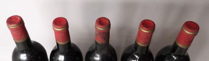 null 5 bouteilles CHÂTEAU CALON SEGUR - 3é Gcc Saint Estephe 1977

Etiquettes légèrement...