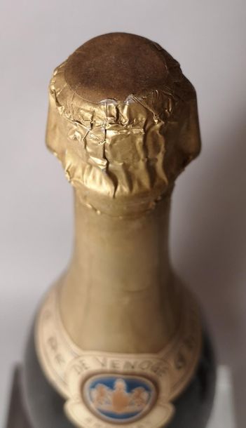 null 1 magnum VIEUX MARC de Champagne - De VENOGE Années 70


Etiquette fanée