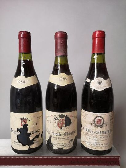 null 3 bouteilles BOURGOGNES DIVERS 


1 GRANDS ECHEZEAUX Grand cru - Coquard Loison...