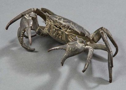 JAPON - Epoque MEIJI (1868-1912) Crabe de taille réelle en bronze à patine brune.
L....