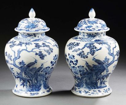 CHINE - XIXe siècle Paire de potiches en porcelaine à décor en bleu sous couverte...