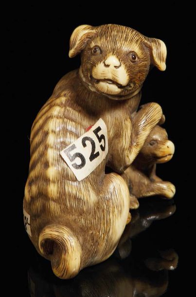 JAPON - Époque Edo (1603-1868), XVIIIe siècle Ivory Netsuke, dog sitting with his...