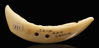 JAPON - XIXE SIÈCLE Netsuke in warthog tooth carved of a dragon in the clouds, finely...