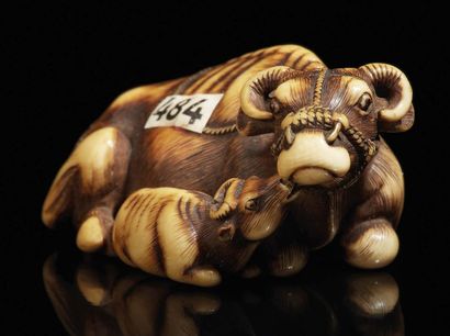 JAPON - Époque Edo (1603-1868), XVIIIe siècle Ivory Netsuke, buffalo lying down,...