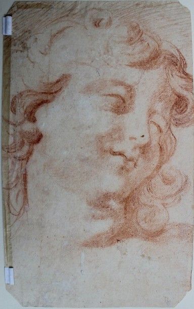 Attribué à Carlo CIGNANI (Forli 1628 - 1719) 
Feuille d'études; recto: putto - verso:...