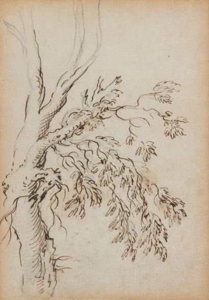 Salvatore ROSA (Arenella 1615 - Rome 1673) 
Trois études d'arbres
Pierre noire, plume...