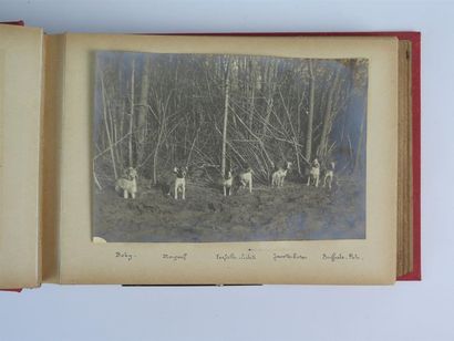 null Album de photographies des chiens du rallye Tiens Bon.

Fox terriers entre 1903...