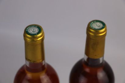 null CHATEAU FILHOT

Millésime : 1996

2 bouteilles