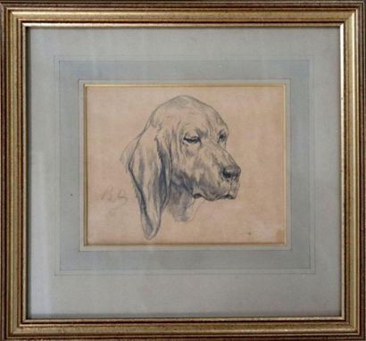 null Rosa BONHEUR (1822-1899).

Tête de chien de chasse.

Dessin au crayon, monogrammé.

H_17...