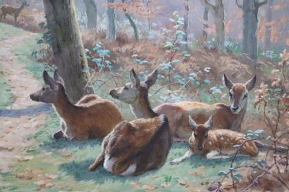 null Georges Frederic ROTIG (1873-1961).

Cerf et biches.

Gouache sur papier.

H_18...