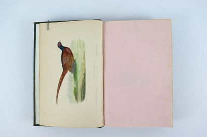 null Dr J-C Chenu.

Ornithologie du chasseur.

Paris, Rothschild 1870, percaline...