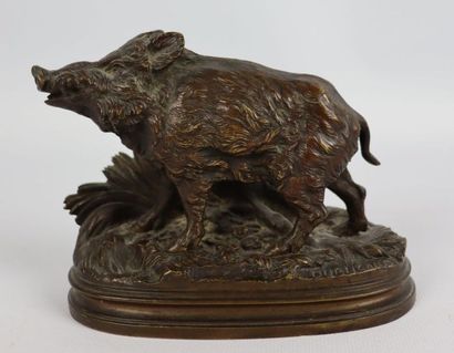 null Alfred DUBUCAND(1828-1894).

Sanglier.

Bronze à patine brune, signé sur la...