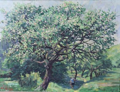 null Adrien SEGERS (1876-1950).

The old apple tree at the Saint Adrien spring.

Oil...