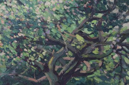 null Adrien SEGERS (1876-1950).

The old apple tree at the Saint Adrien spring.

Oil...