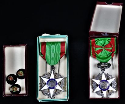 null Deux décorations du Mérite agricole en argent émaillé : chevalier et officier.

Poids...
