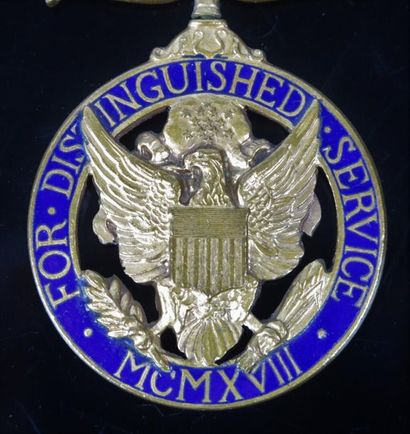 null U.S.A.

Distinguished Service Metal.

Laiton et émail