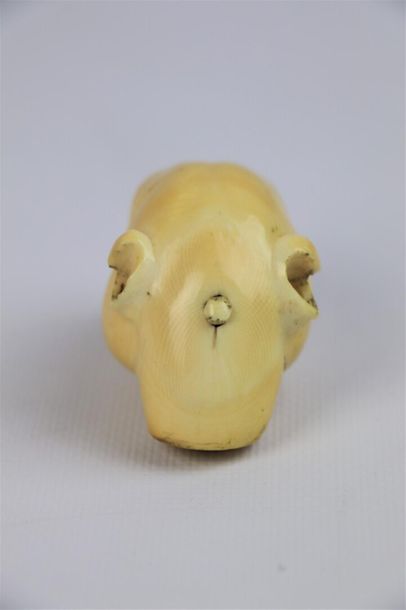 null Pommeau de canne en ivoire figurant une tête de molosse.

Fin du XIXème siècle.

L_6,3...