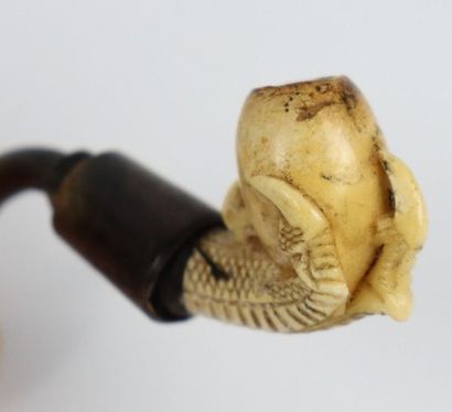 null Two meerschaum pipes.

One carved from a raptor's hothouse.

The other carved...