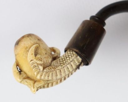 null Two meerschaum pipes.

One carved from a raptor's hothouse.

The other carved...